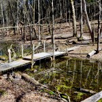 Michigan Trail Tuesday: Lillian Anderson Arboretum, Kalamazoo