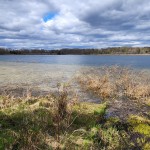 Michigan Trail Tuesday: Portman Nature Preserve, Paw Paw