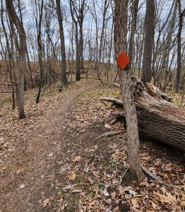 Portman nature Preserve Hickor Loop Trail