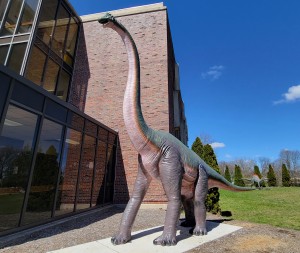 WMU Dinosaur Park Brontosaurus College Campus