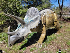 WMU Dinosaur Park Triceratops