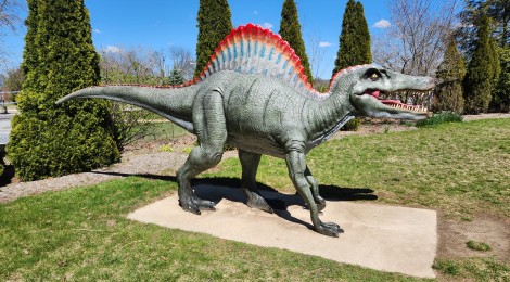 WMU Dinosaur Park: Free and Family Friendly Fun in Kalamazoo