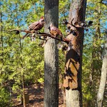Walk of Art Sculpture Park Elk Rapids Birds on Tree