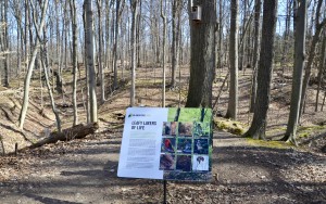 Blandford Nature Center Forest Information Sign