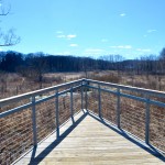 Michigan Trail Tuesday: Bow in the Clouds Preserve, Kalamazoo