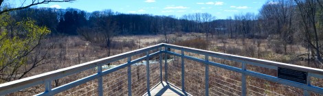 Michigan Trail Tuesday: Bow in the Clouds Preserve, Kalamazoo