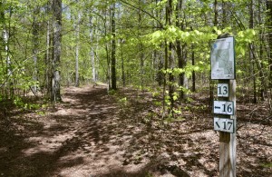 Hofma Preserve Grand Haven Wood Trail Map