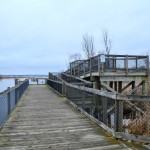 Muskegon Lake Nature Preserve Wilder River Walk Observation