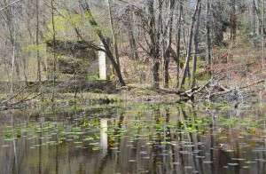Ross Coastal Plain Marsh Preserve Cabin Reflection TNC Covert Michigan