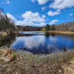 Michigan Trail Tuesday: Ross Coastal Plain Marsh Preserve, Van Buren County