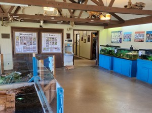 Sarett Nature Center Exhibits Benton Harbor MI