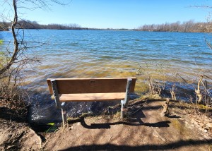 Sessions Lake Hiking Trail Bench View Ionia