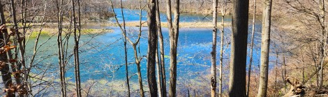 Michigan Trail Tuesday: Sessions Lake Hiking Trail, Ionia State Recreation Area