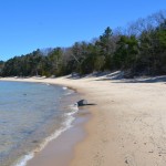Wilcox Palmer Shah Preserve in Elk Rapids: A Beautiful Beach on Lake Michigan