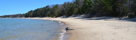 Wilcox Palmer Shah Preserve in Elk Rapids: A Beautiful Beach on Lake Michigan