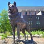 Michigan Roadside Attractions: Michigan Tech Husky Statue