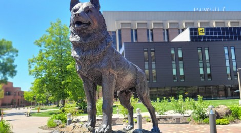Michigan Roadside Attractions: Michigan Tech Husky Statue