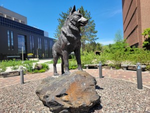 Michigan Tech Husky Statue Upper Peninsula