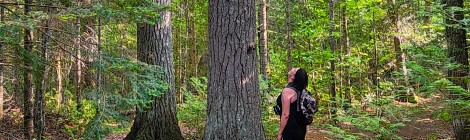Michigan Trail Tuesday: Estivant Pines Nature Sanctuary, Copper Harbor