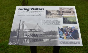 Oden State Fish Hatchery Luring Visitors Information Michigan