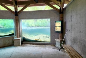 Oden State Fish Hatchery Stream Viewing Cutaway