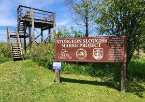 Sturgeon River Sloughs Marsh Project Sign 2024