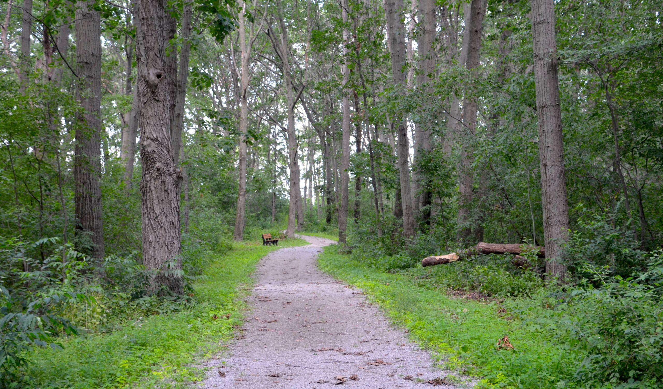 Michigan Trail Tuesday: Soehnel Nature Trail, Bay County