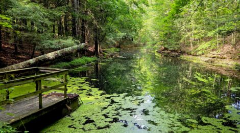 Michigan Trail Tuesday: Visit the Beautiful Trails at Clear Springs Nature Preserve in Muskegon County