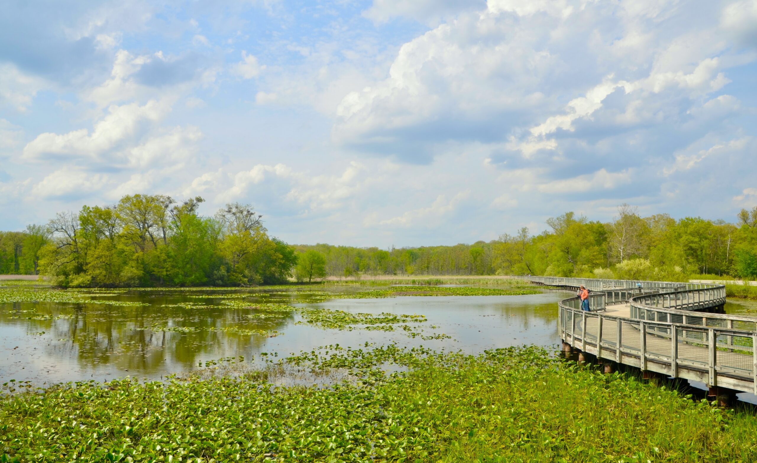 Kensington Metropark Is One Of Michigan's Best Birdwatching Locations
