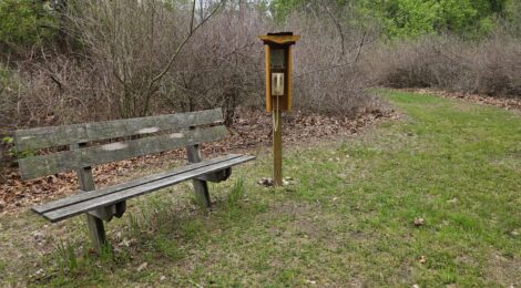 Michigan Trail Tuesday: Lehman Nature Trails at Montcalm Community College