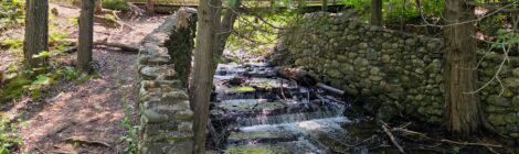 Michigan Trail Tuesday: Seven Bridges Natural Area, Kalkaska County