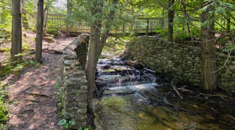 Michigan Trail Tuesday: Seven Bridges Natural Area, Kalkaska County