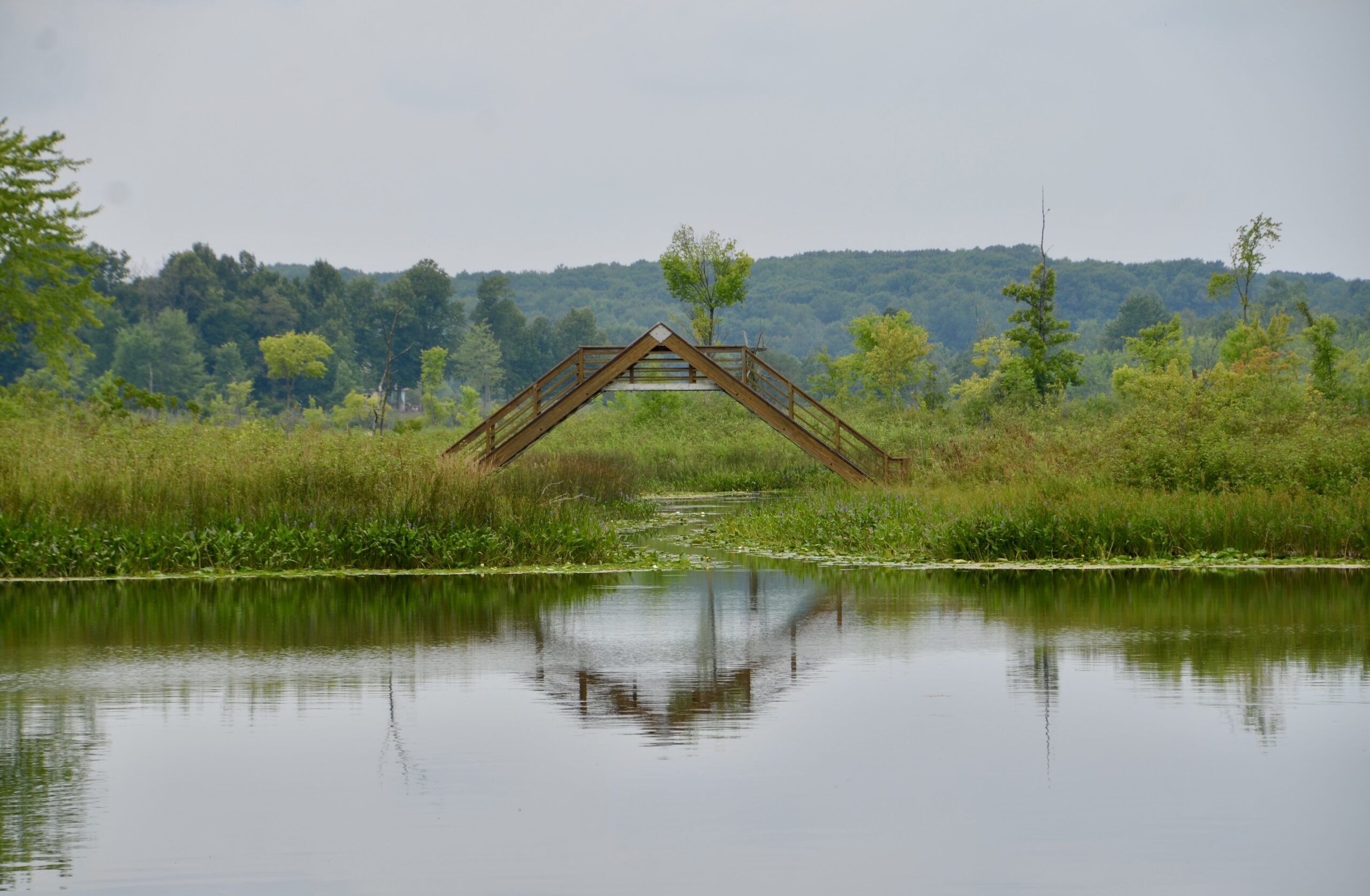 Michigan Trail Tuesday: Seven Ponds Nature Center, Lapeer County