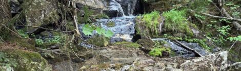 Wildcat Falls - Scenic Hike Leads to Small Upper Peninsula Waterfall