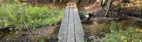 Michigan Trail Tuesday: Susan Creek Nature Preserve