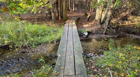 Michigan Trail Tuesday: Susan Creek Nature Preserve